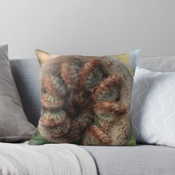 Item preview, Coiled Australian Tree Fern Branch designed and sold by Gubbz.