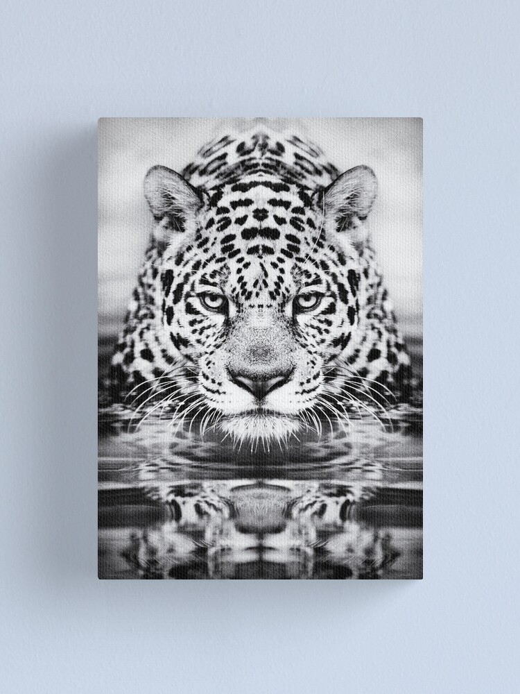 "Leopard fine art print, black and white photography" Canvas Print by