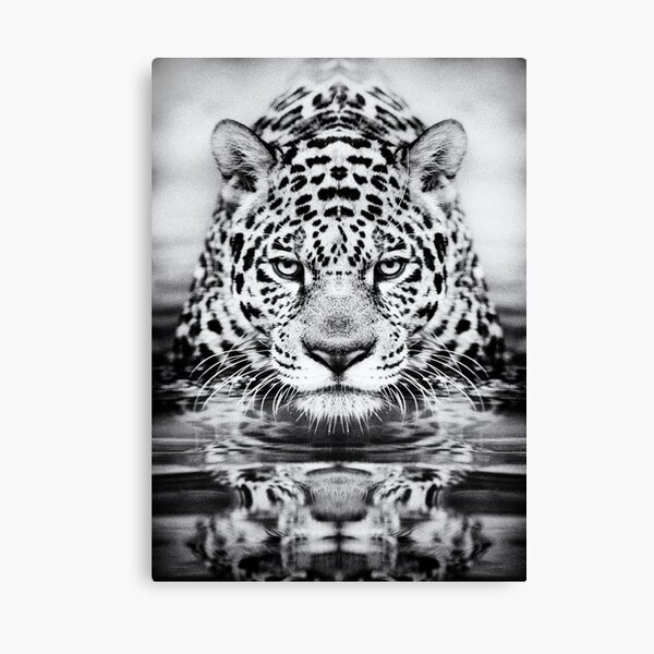 Item preview, Leopard fine art print, black and white photography designed and sold by LukeKanelov.