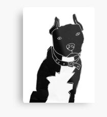 APBT Metal Print