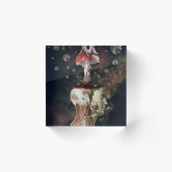 Dreams Are The Touchstones Of Our Character Acrylic Block