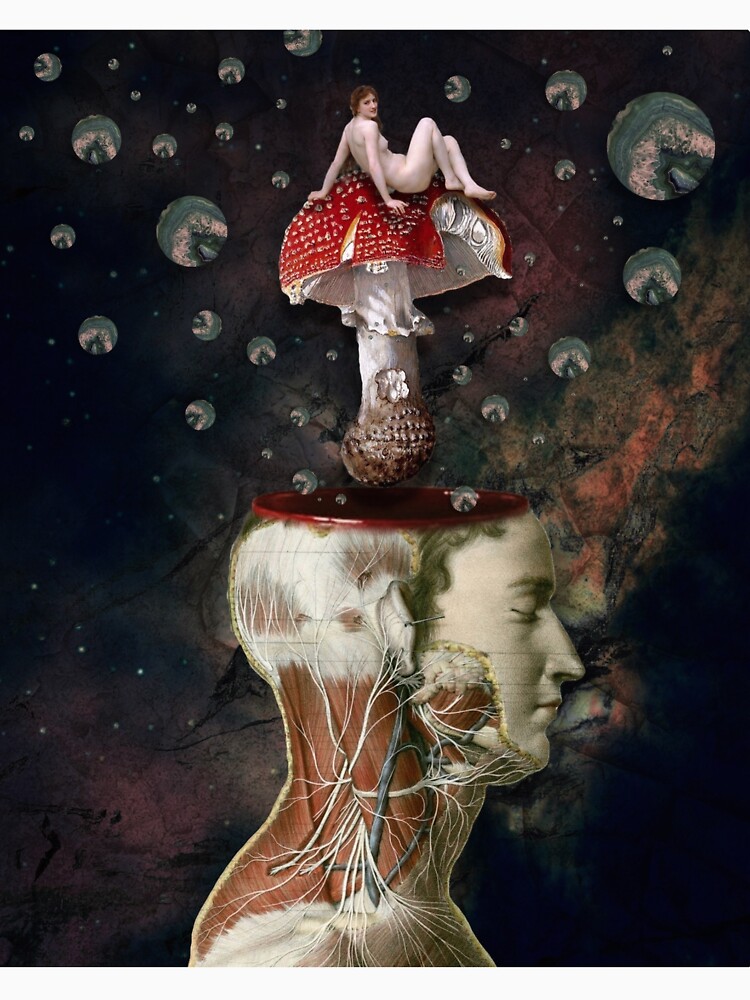 Dreams Are The Touchstones Of Our Character by MadelineCollage