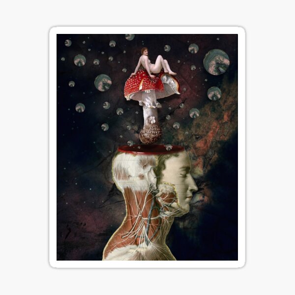 Dreams Are The Touchstones Of Our Character Sticker