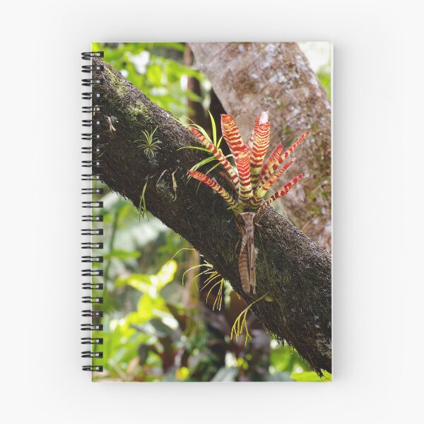 Item preview, Defying the Odds designed and sold by Kerryn Madsen-Pietsch.