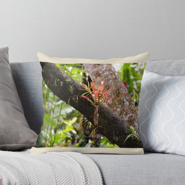 Item preview, Defying the Odds designed and sold by Kerryn Madsen-Pietsch.