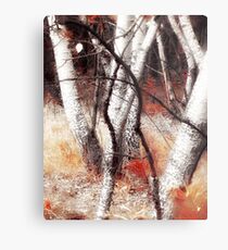 Zauberwald - Opfergaben / Magic Forest Ritual Offerings Metal Print