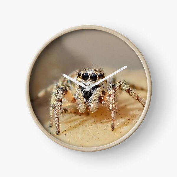 Item preview, Zebra Jumping Spider designed and sold by relayer51.