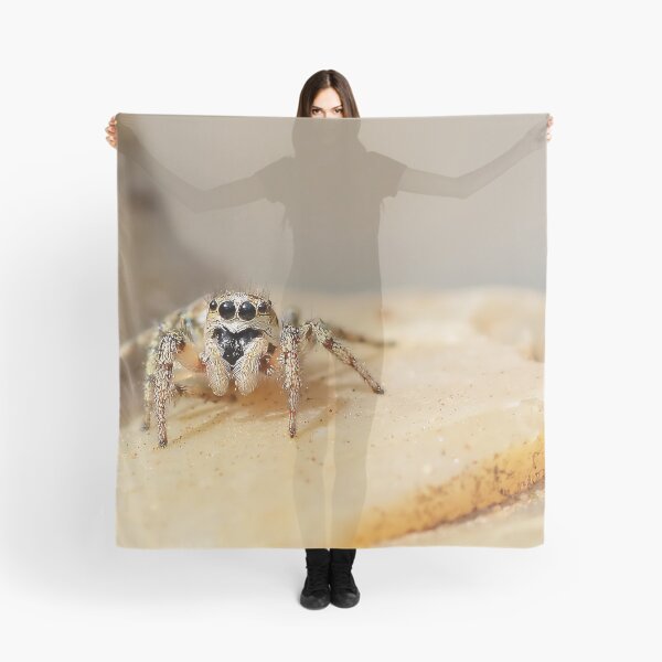 Item preview, Zebra Jumping Spider designed and sold by relayer51.