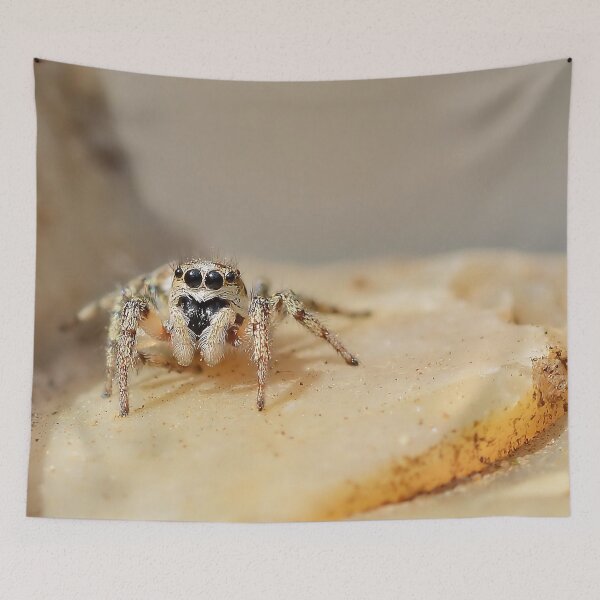 Item preview, Zebra Jumping Spider designed and sold by relayer51.