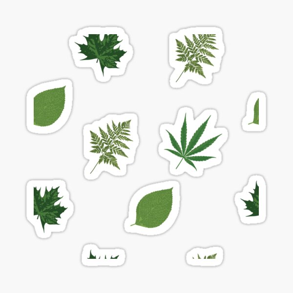 Green Leaves pattern Sticker