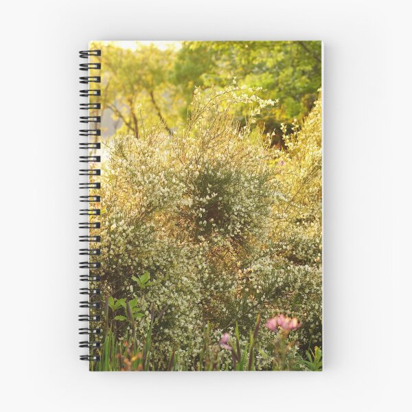 Item preview, Heather garden Fort Tryon at sunset designed and sold by distracted.