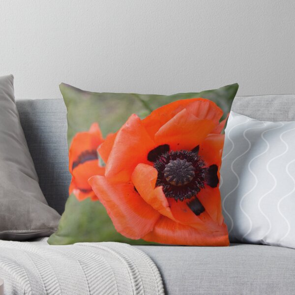Aperçu de l'œuvre Coquelicot créée et vendue par Fabio Viola.