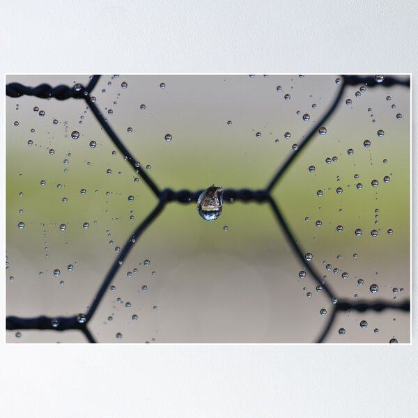 Artikelvorschau, The Center Of A Spider Web entworfen und verkauft von MissyD.