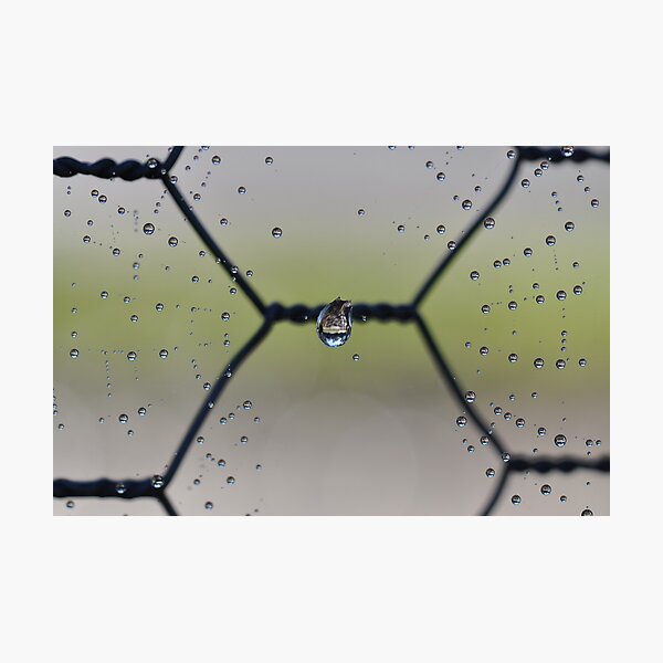 Artikelvorschau, The Center Of A Spider Web entworfen und verkauft von MissyD.