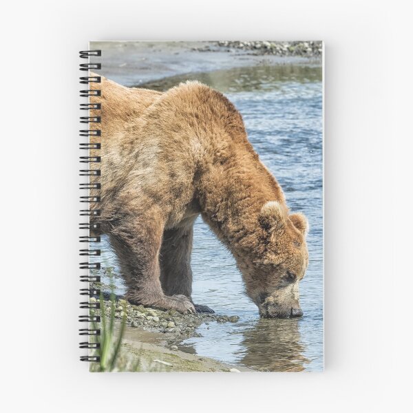 Item preview, Thirsty Big Brown Male Bear designed and sold by Belinda Greb Photography.