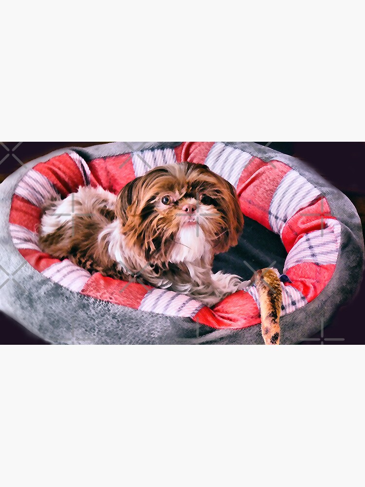 Meet Rosie by photorolandi
