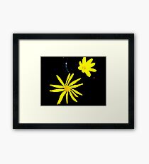 Yellow daisy Framed Print