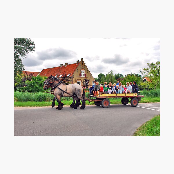 A joyous ride Photographic Print