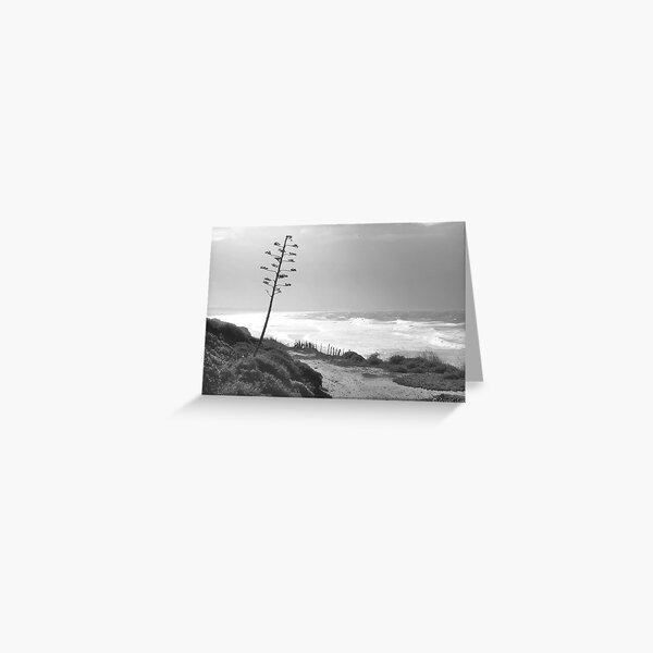 Tarifa Beach Greeting Card