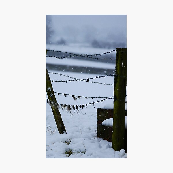 Artikelvorschau, Wool on the wire entworfen und verkauft von Lee Van Hallam.