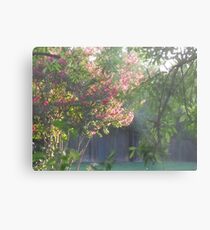 Early Morning Light Metal Print