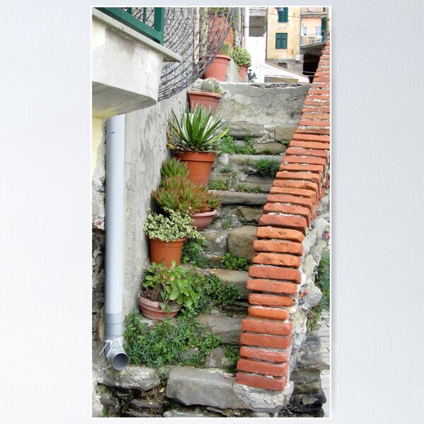 Item preview, Cinque Walkway designed and sold by Sea West Studio.