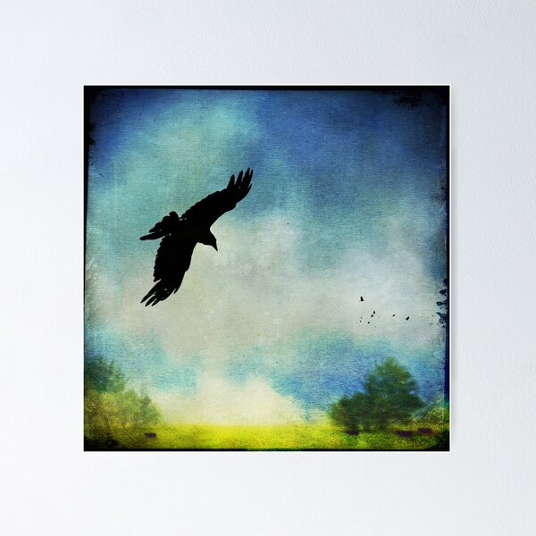 Artikelvorschau, As the Crow Flies entworfen und verkauft von Laura Palazzolo.