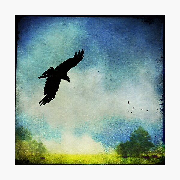 Item preview, As the Crow Flies designed and sold by Laura Palazzolo.