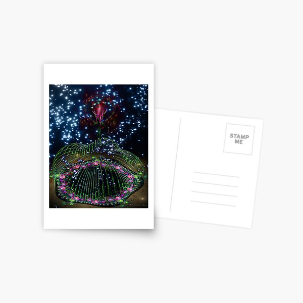 Untitled Postcard