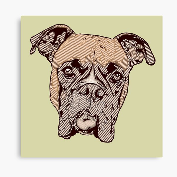 Silly Boxer Dog Canvas Prints Redbubble