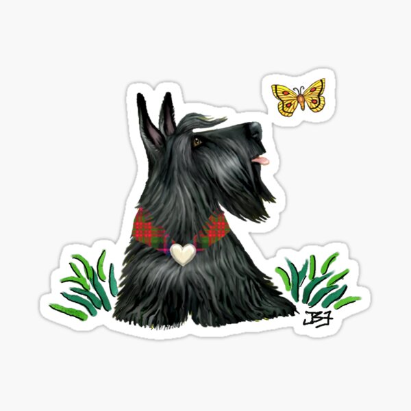 Scottish Terrier Watching a Butterfly Sticker