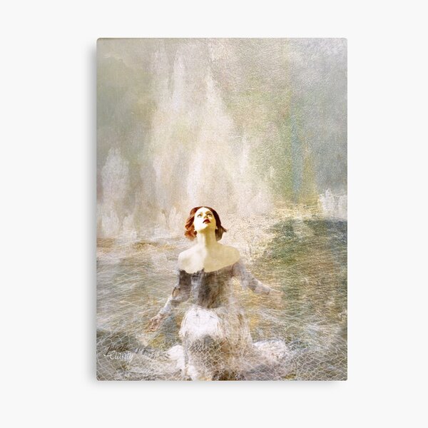 Clarity Canvas Print