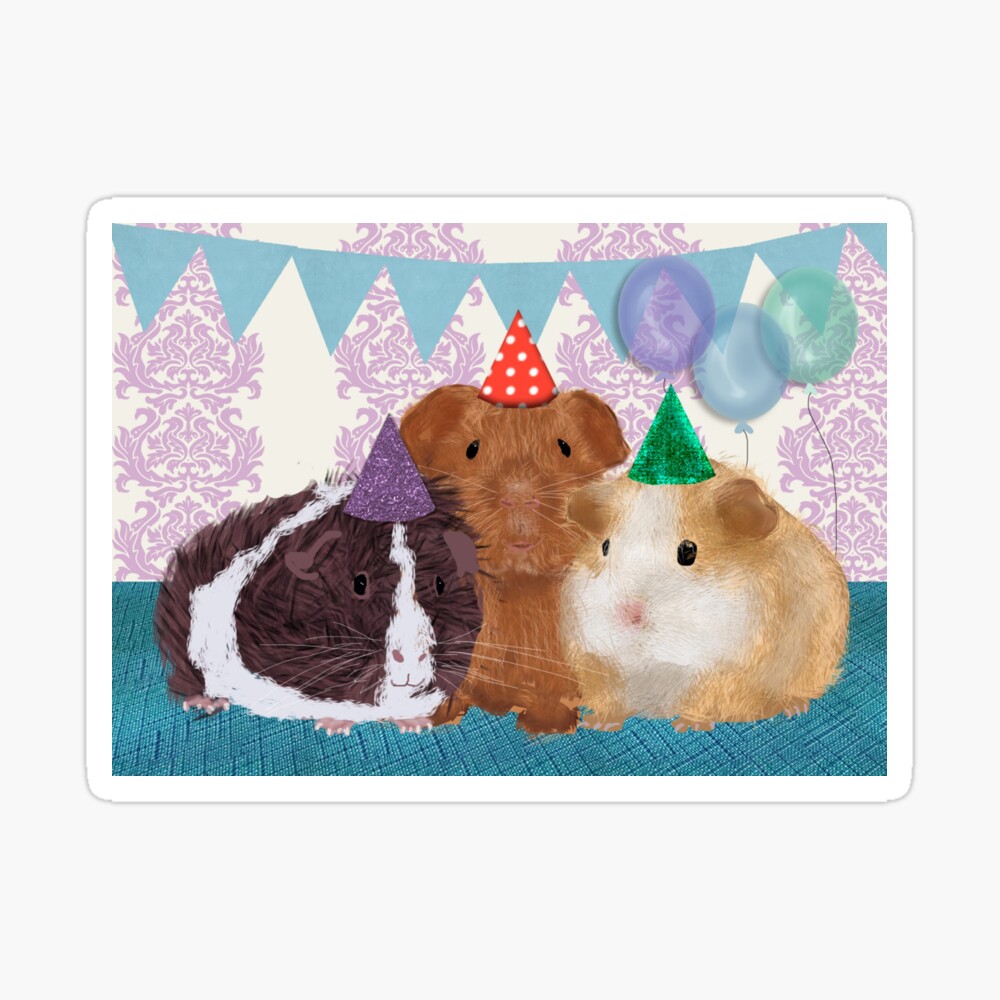 Carte De Vœux Carte D Anniversaire Cochon D Inde Par Amymh Redbubble