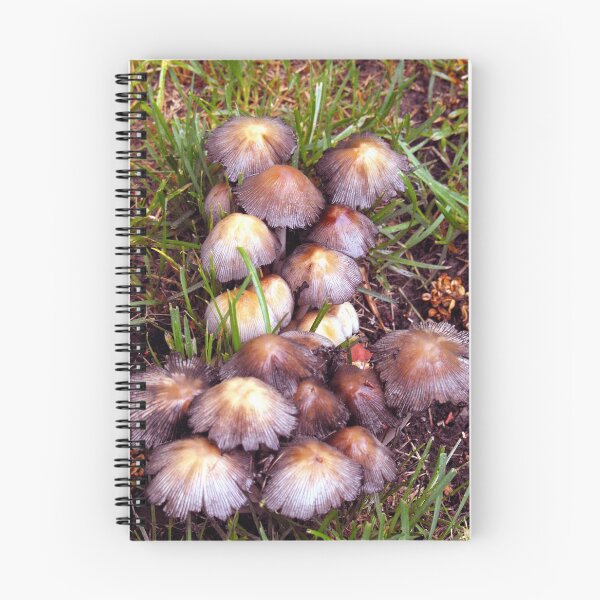 Aperçu de l'œuvre Le petit patch aux champignons créée et vendue par Ruth Palmer.