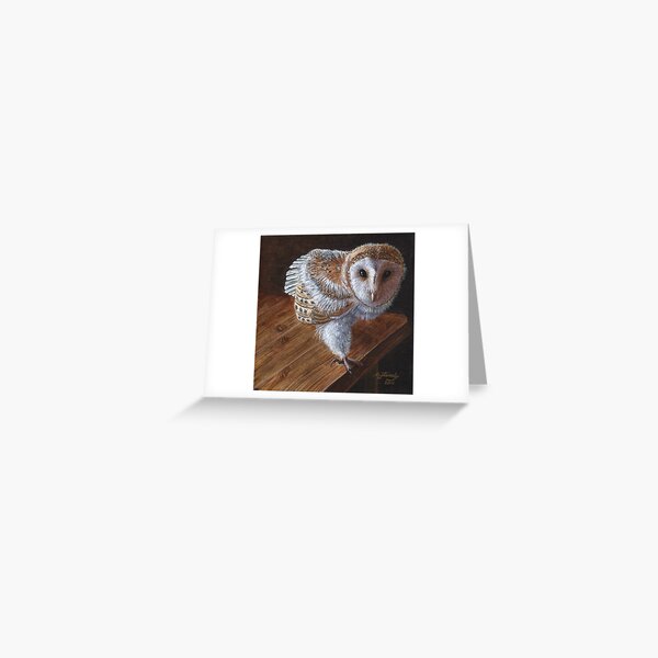 Baby Barn Owl Greeting Card