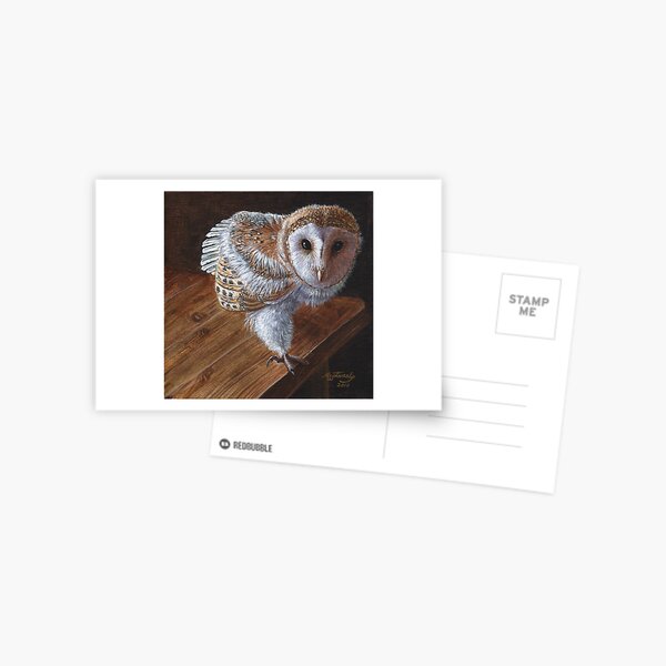 Baby Barn Owl Postcard