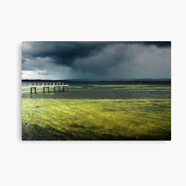 Storm Canvas Print
