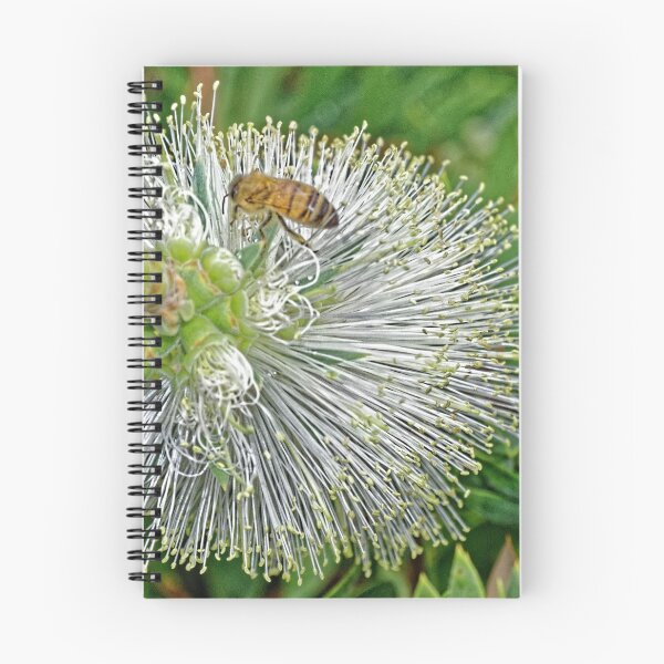 Item preview, Bee on White Grevillea F 201920180422 0349 designed and sold by Fred Mitchell.