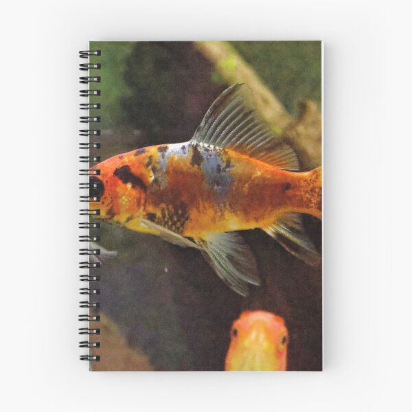 Item preview, Fish in Display in Dining Room 201920180422 0360  designed and sold by Fred Mitchell.
