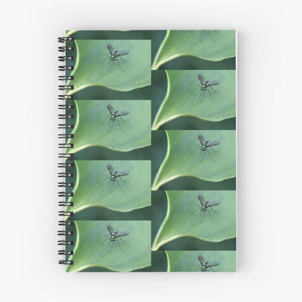 Item preview, Iridescent Green designed and sold by Clare Colins.