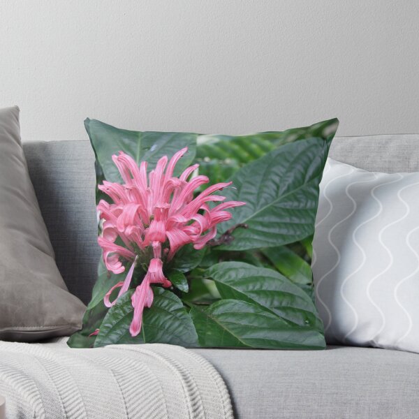 Item preview, Tropical Flora designed and sold by coffeebean.