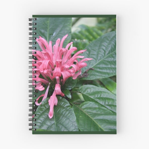 Item preview, Tropical Flora designed and sold by coffeebean.