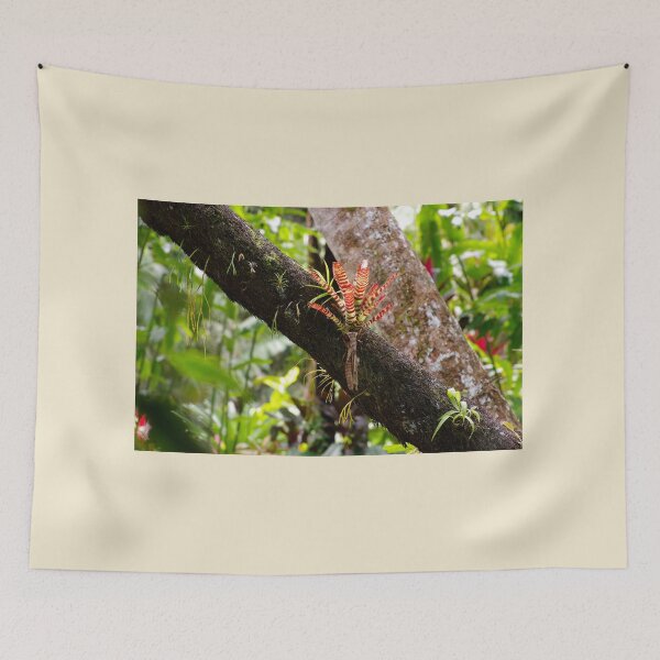 Item preview, Defying the Odds designed and sold by Kerryn Madsen-Pietsch.