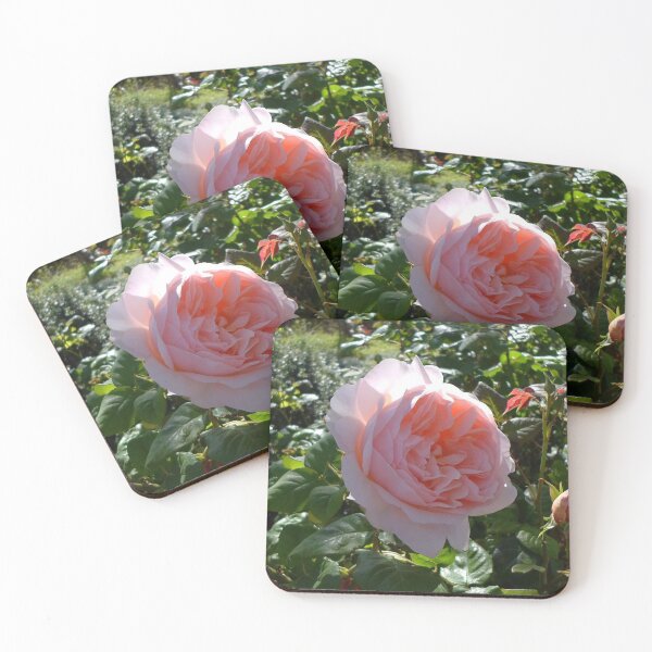 Item preview, Pink Rose in Bloom designed and sold by KeksWorkroom.