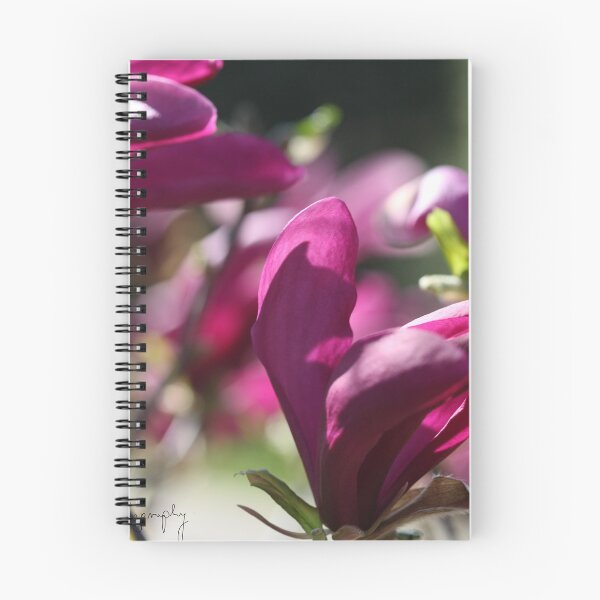 Item preview, Magnolia Susan from Galicja. ©Dr.Andrzej Goszcz. designed and sold by © Andrzej Goszcz,M.D. Ph.D.