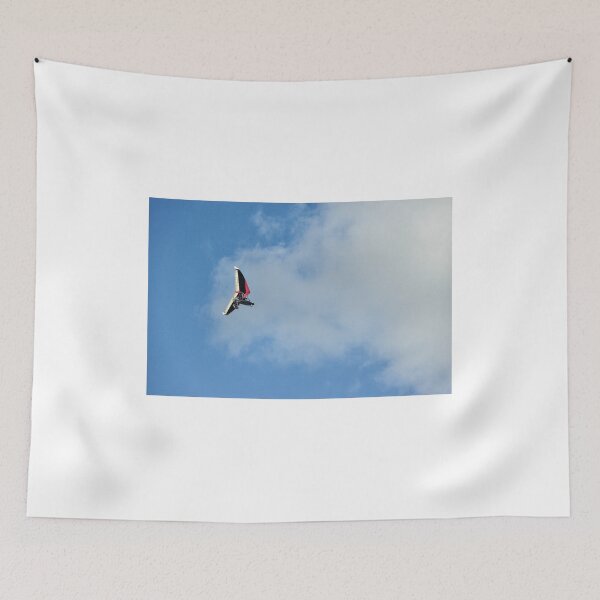 Item preview, Microlight in flight on approach to the airfield designed and sold by Richard Flint.