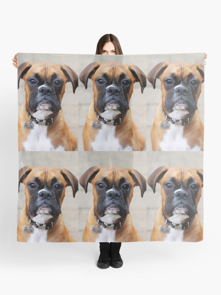 boxer dog scarf