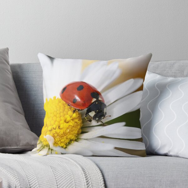 Item preview, 7 spot ladybird designed and sold by GreyFeatherPhot.