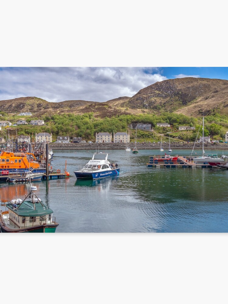 Mallaig Harbour Lochaber Scotland Canvas Print By Alexja Redbubble