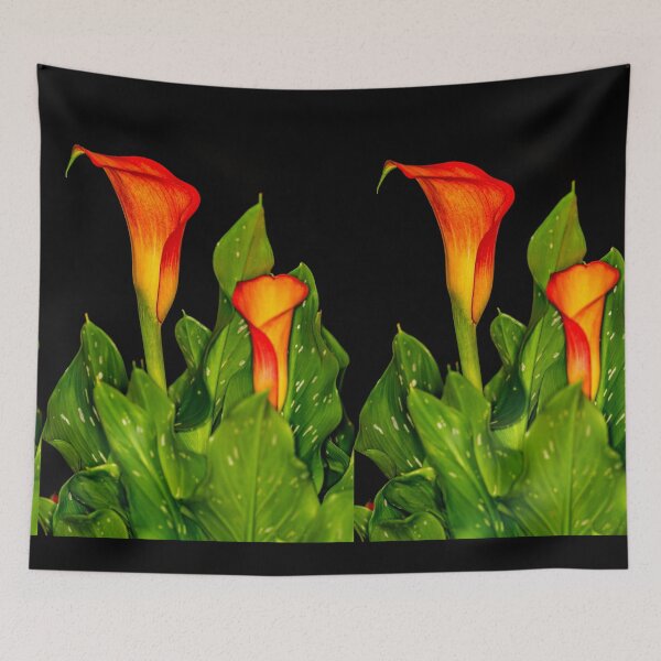 Item preview, Calla Lily 1 designed and sold by Steve Purnell Photography.